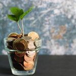 A small plant grows out of a pot filled with coins.